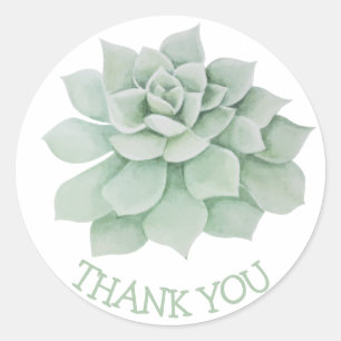 Adesivo Redondo Floral Obrigado Seu Suculento Verde Cactus