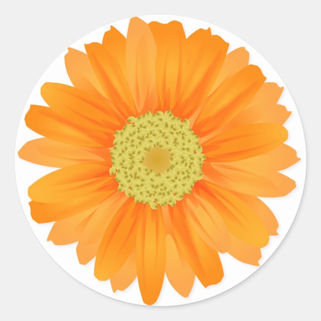 Adesivo Redondo Floral Orange Gerbera Daisy Flowers