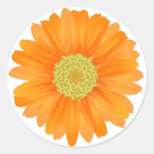 Adesivo Redondo Floral Orange Gerbera Daisy Flowers