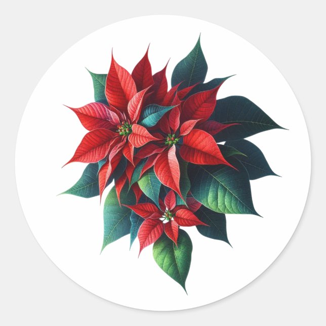 Adesivo Redondo Floral Poinsettia Christmas – Festive Holiday (Frente)