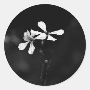 Adesivo Redondo floral preto e branco minimalista