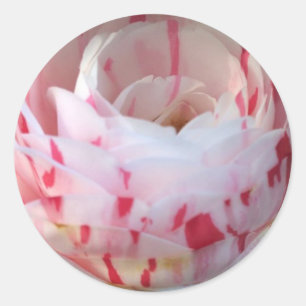 Adesivo Redondo Floral Rosa e Branco