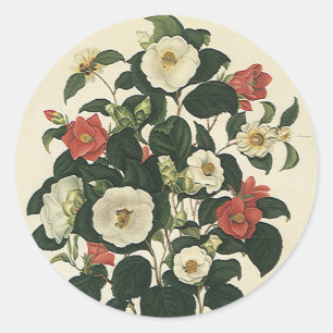 Adesivo Redondo Floral Vintage, Flores de Rosas de Jardim Antigas