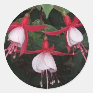 Adesivo Redondo Flores