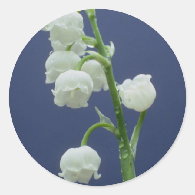 Adesivo Redondo Flores 110 (Frente)