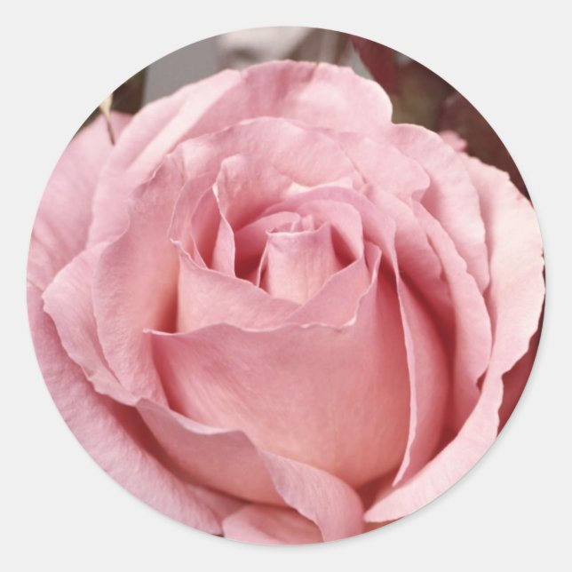 Adesivo Redondo Flores 137 (Frente)