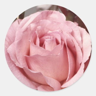 Adesivo Redondo Flores 137