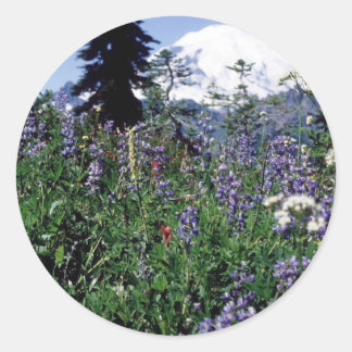 Adesivo Redondo Flores 139