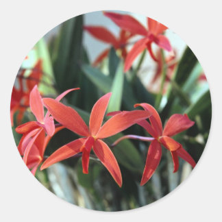 Adesivo Redondo Flores 99