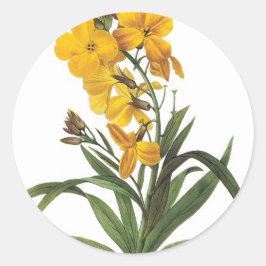 Adesivo Redondo Flores amarelas, Pierre Joseph Redouté