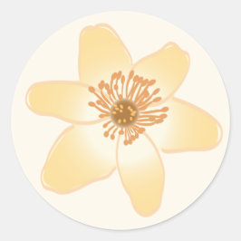 Adesivo Redondo Flores de Anêmonas Laranja Selvagens - desenho bot