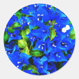 Adesivo Redondo Flores de Bougainvillea Azul Vibrantes