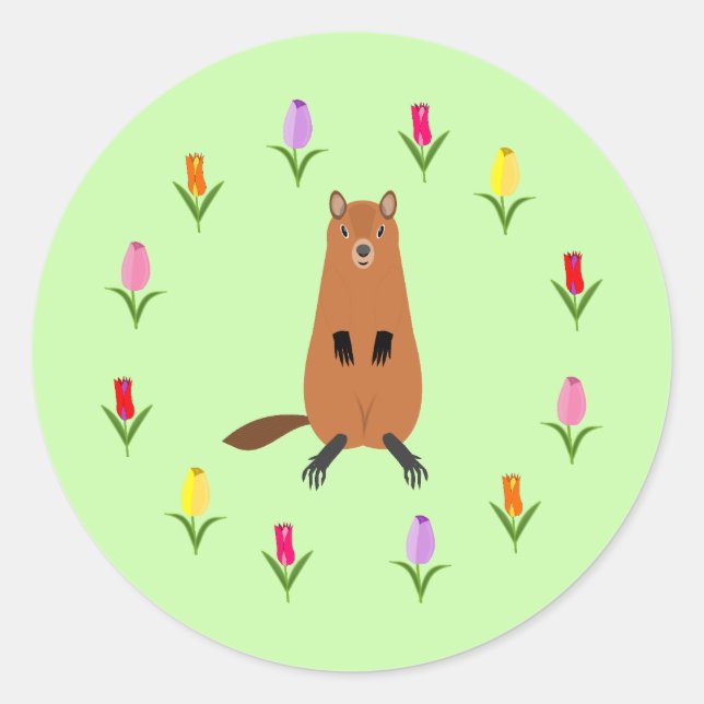 Adesivo Redondo Flores de Groundhog e Tulipas (Frente)