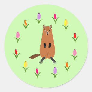 Adesivo Redondo Flores de Groundhog e Tulipas