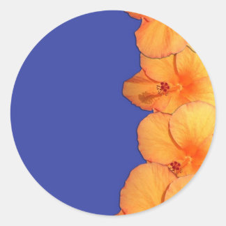 Adesivo Redondo Flores de Hibisco Laranja Havaianas