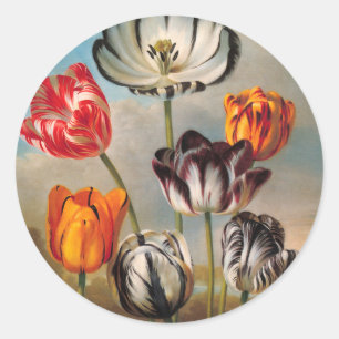 Adesivo Redondo Flores de Tulipas Variadas Vintage em uma Paisagem