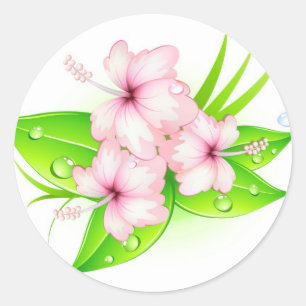 Adesivo Redondo flores do hibiscus