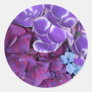 Adesivo Redondo Flores do Hydrangea