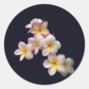 Adesivo Redondo Flores do Plumeria em azul escuro