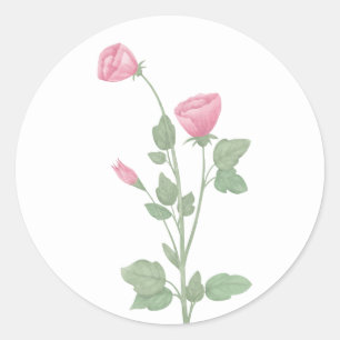 Adesivo Redondo Flores Elegantes Aquarela Rosa Casamento Floral