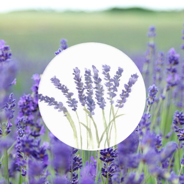 Adesivo Redondo Flores lavandas Purple Floral Watercolor (Criador carregado)