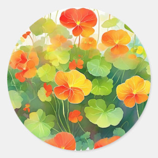 Adesivo Redondo Flores Nasturtium Vibrantes