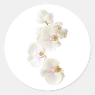 Adesivo Redondo Flores Orquídeas
