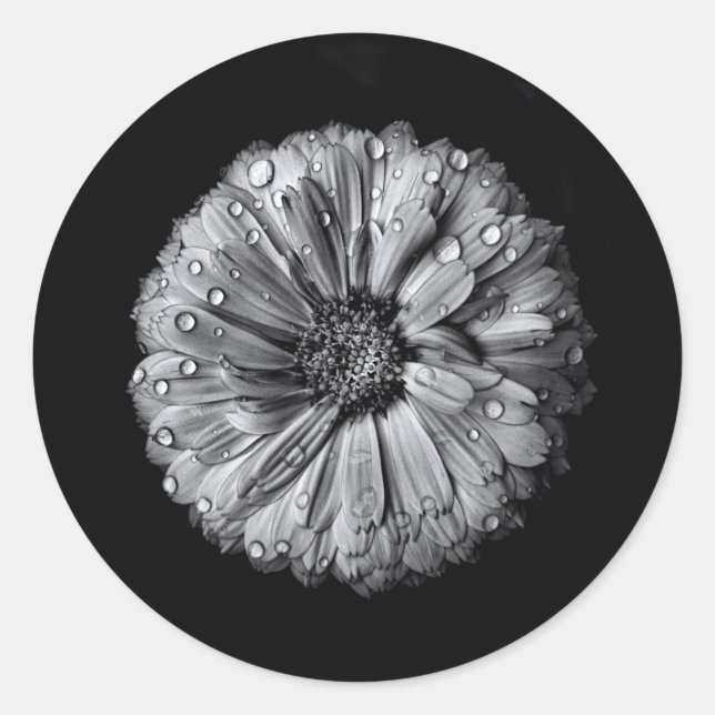 Adesivo Redondo Flores Pretas E Brancas 10 (Frente)