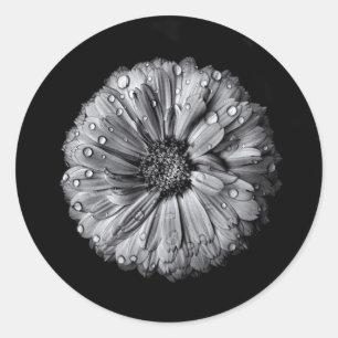 Adesivo Redondo Flores preto e branco 10