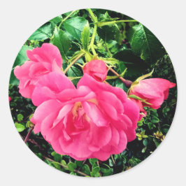 Adesivo Redondo Flores rosa