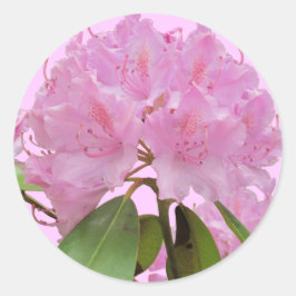 Adesivo Redondo Flores rosa de rododendron