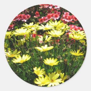 Adesivo Redondo Flores Rosa e Amarelo