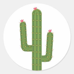 Adesivo Redondo Flores Rosa-Flores De Amor Verde De Cactus Rosa