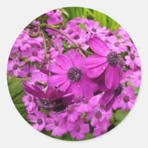 Adesivo Redondo Flores Roxas de São Francisco