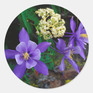 Adesivo Redondo Flores selvagens mutantes de Columbine