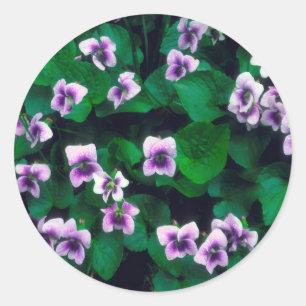 Adesivo Redondo Flores silvestres na floresta