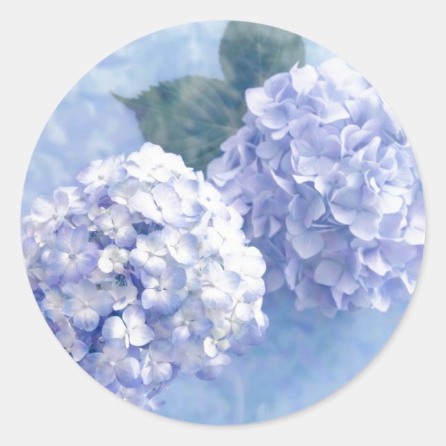 Adesivo Redondo Flores Stickers-Hydrangea (Frente)