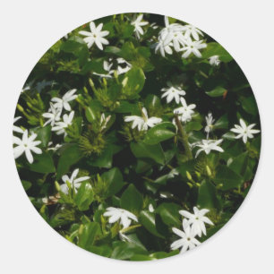 Adesivo Redondo Flores Tropicais De Jasmine