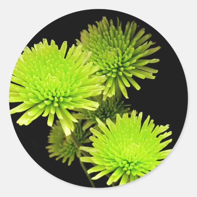 Adesivo Redondo Flores Verdes (Frente)