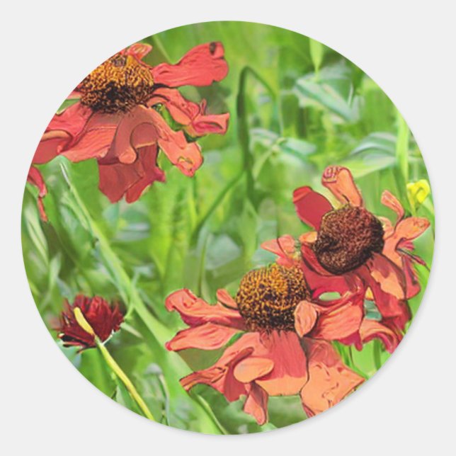 ADESIVO REDONDO FLÔRES VERMELHAS DE RUDBECKIA (Frente)