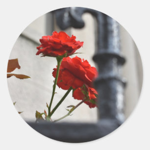 Adesivo Redondo Flores Vermelhas Feitas Fotografia Nova Iorque de 