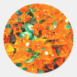 Adesivo Redondo Flores Vibrantes de Laranja Bougainvillea