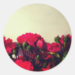 Adesivo Redondo Flores vivas e flores brilhantes rosas vermelhas