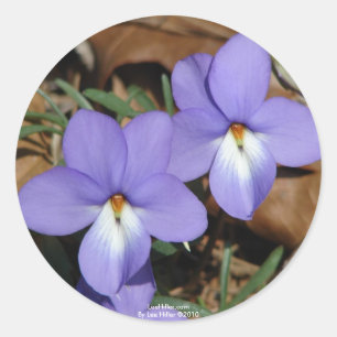 Adesivo Redondo FloresSilvestres Violeta Pata de Pássaro III Prese