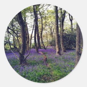 Adesivo Redondo Floresta de Bluebells Floral moderna e elegante
