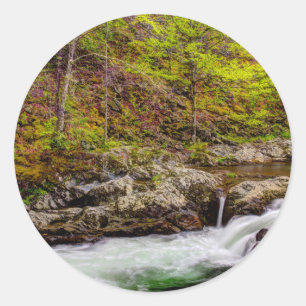 Adesivo Redondo Floresta do riacho nas Grandes Montanhas Fumegante