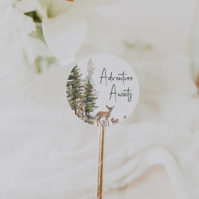 Adesivo Redondo Floresta Florestal Animais Aventura Aguarda Favor (Criador carregado)