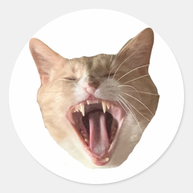 Adesivo Redondo Floyd Sticker - Com Boca Aberta! (Frente)