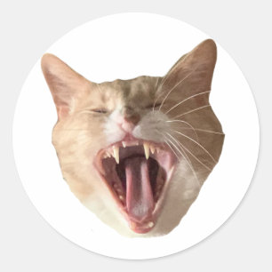 Adesivo Redondo Floyd Sticker - Com Boca Aberta!