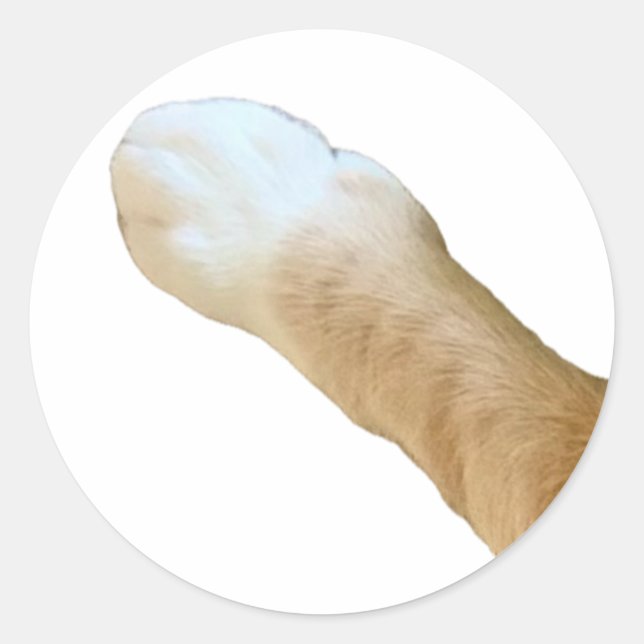 Adesivo Redondo Floyd Sticker - Pata! (Frente)